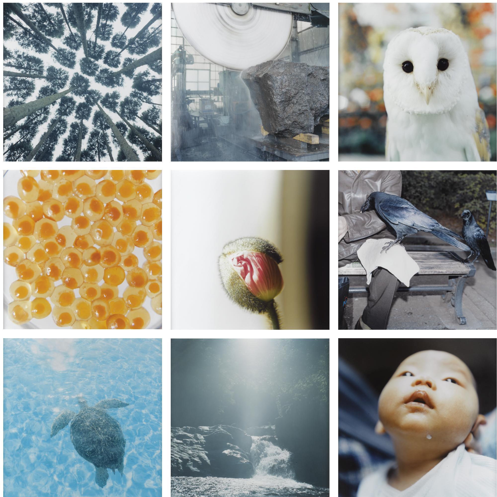 Rinko Kawauchi - Aila, 2004