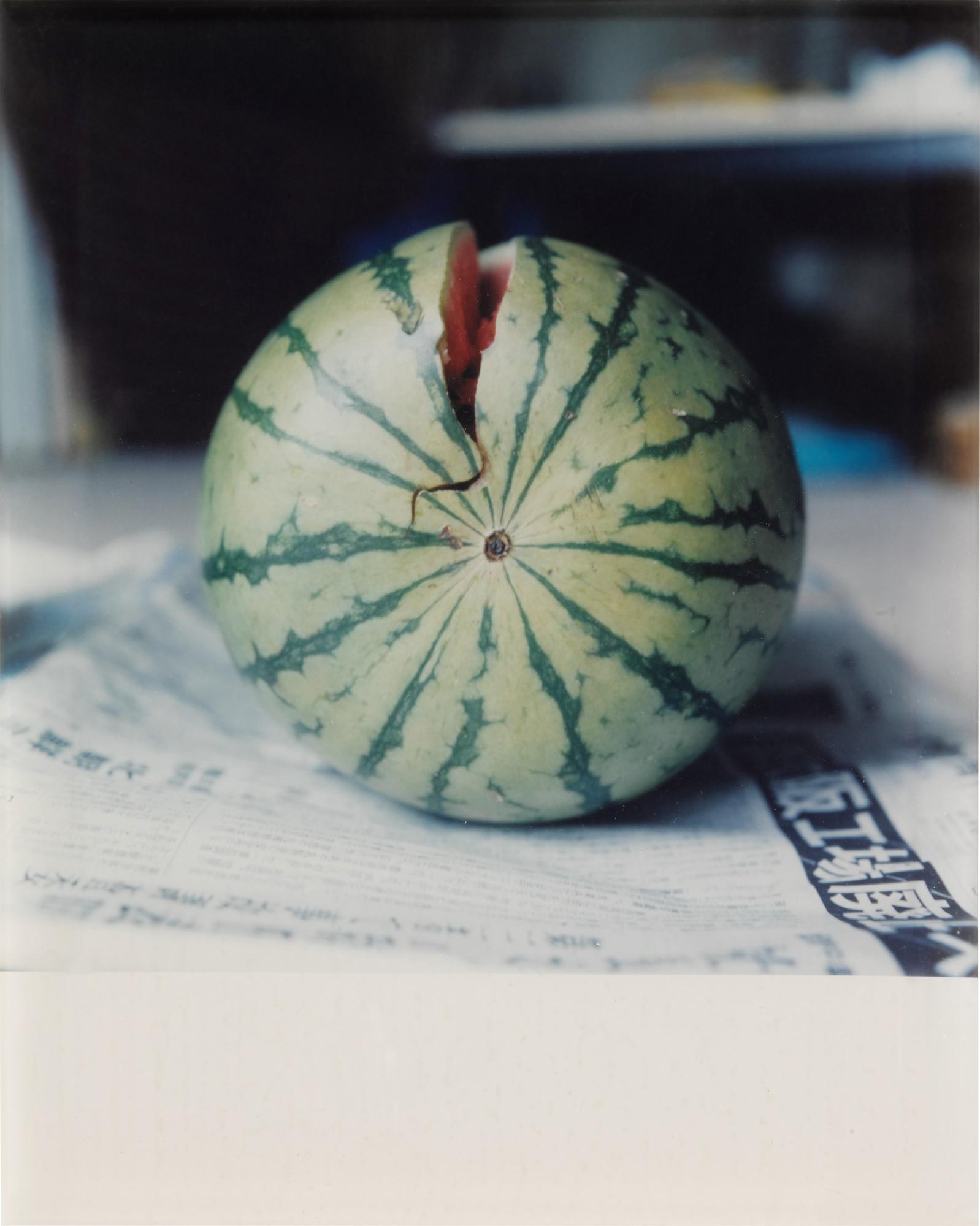 Rinko Kawauchi - Selected Images from Utatane