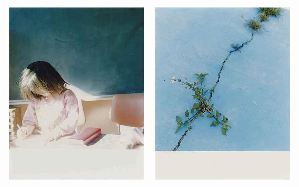 Rinko Kawauchi - The Eyes, The Ears (17 and 52)