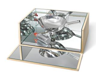 Rirkrit Tiravanija - Untitled (Flaming Morning Glory N° 102)