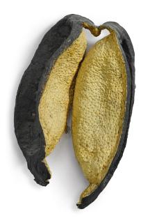 Rivane Neuenschwander - Untitled, 1998