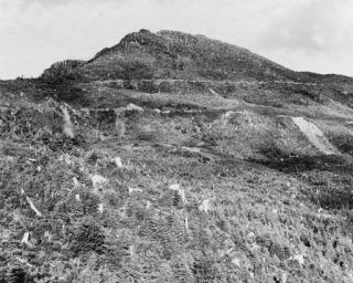 Robert Adams - Clearcut and Burned, East of Arch Cape, Oregon