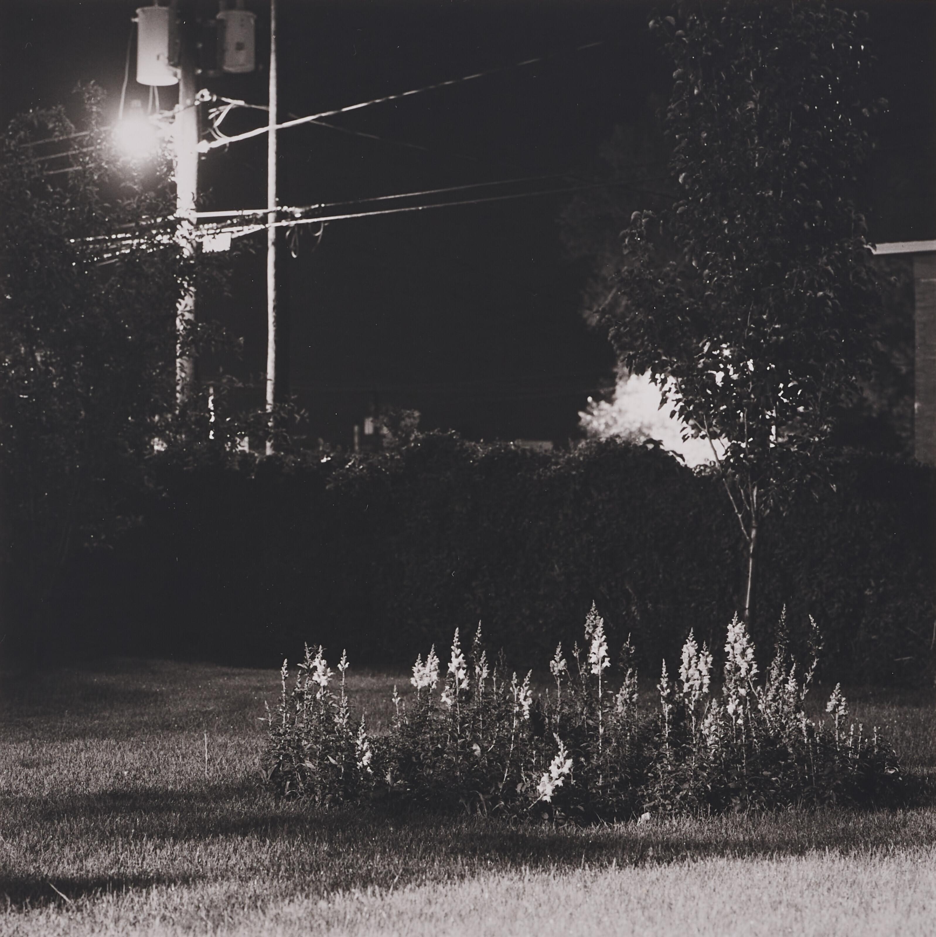 Robert Adams - Longmont, Colorado, 1978