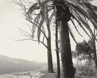 Robert Adams - Looking Toward Los Angeles across San Timoteo Canyon, San Bernardino County, California, 1979