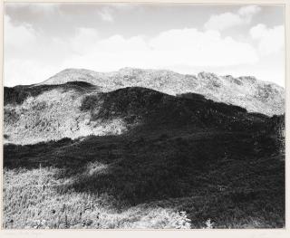 Robert Adams - Near Arch Cape, Oregon, 1976