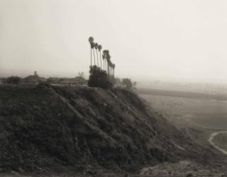 Robert Adams - New Development on what was a Citrus Growing Estate, Highland, California, 1983