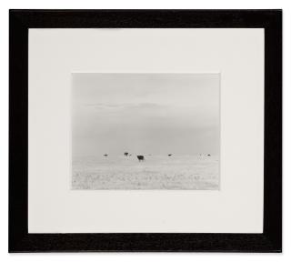 Robert Adams - \'North of Briggsdale, Colo.\'