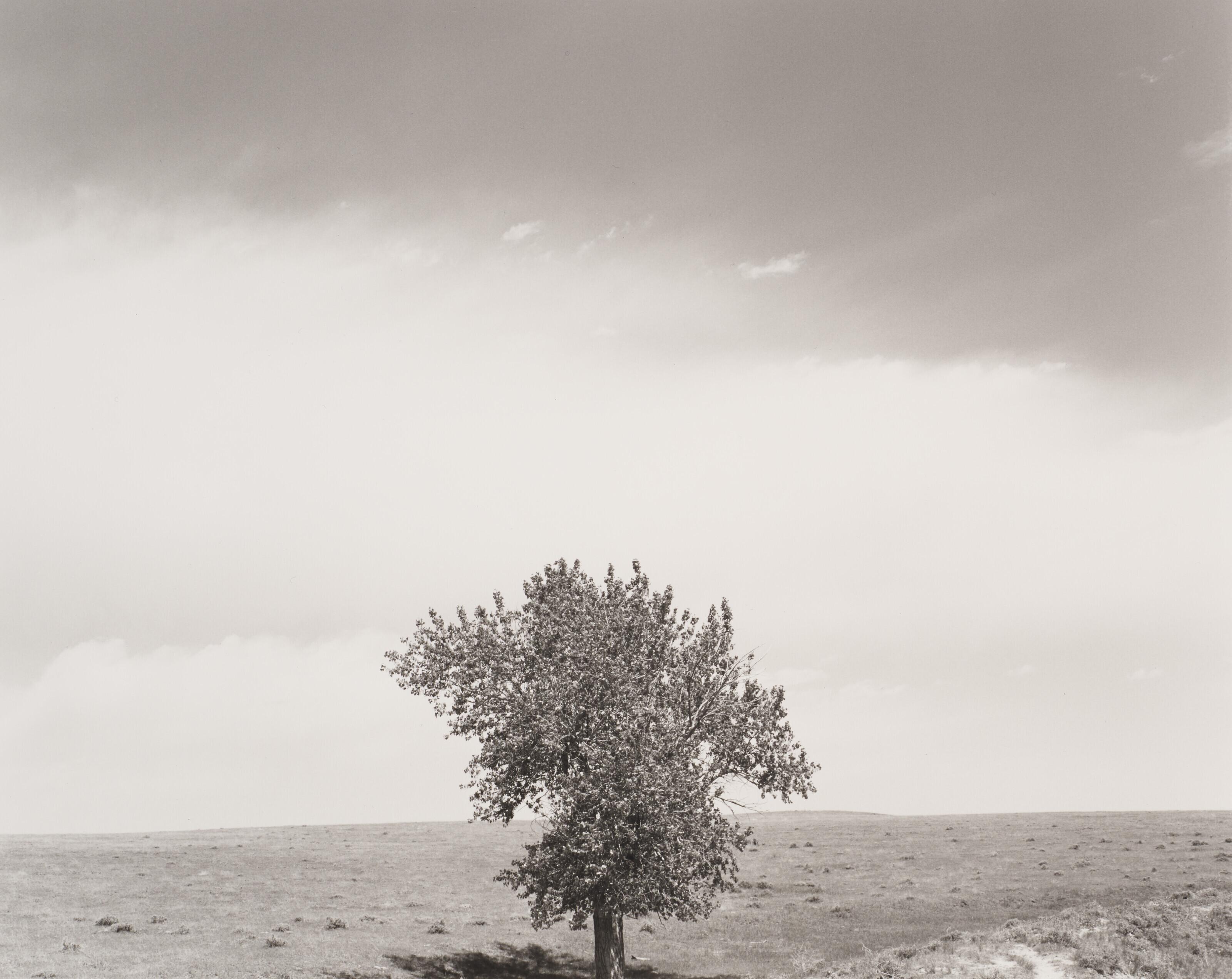 Robert Adams - Pawnee National Grassland, Colorado, 1984