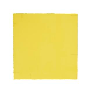 Robert Barry - Sans titre