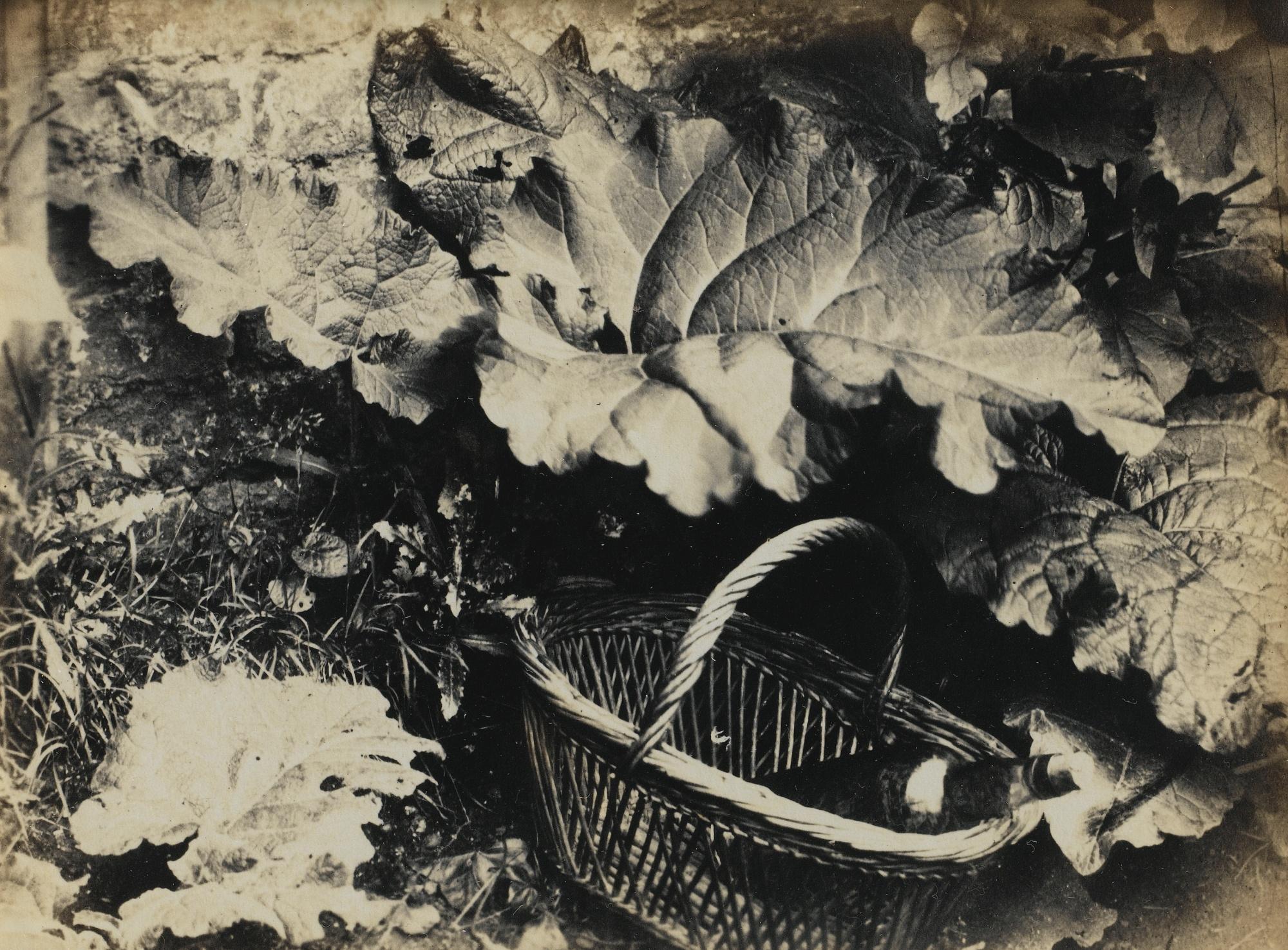 Robert Burrows - Nature Morte, 1855Albumen Print, Mounted To Orginal Paper Sheet. Numbered 187. Mounted And Framed.