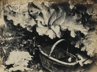 Robert Burrows - Nature Morte, 1855Albumen Print, Mounted To Orginal Paper Sheet. Numbered 187. Mounted And Framed.