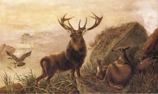 Robert Cleminson - A stag with hinds by a loch