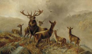 Robert Cleminson - A Stag With Hinds In A Highland Landscape