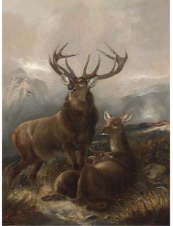 Robert Cleminson - A stag with hinds