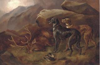 Robert Cleminson - Deer Hounds With A Stag