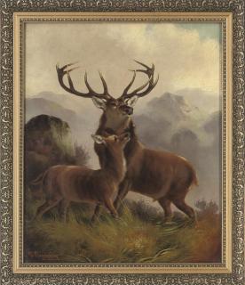 Robert Cleminson - Deer in the highlands
