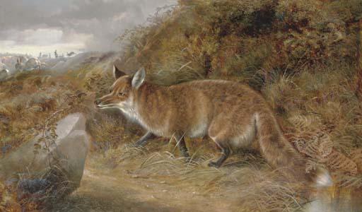 Robert Cleminson - Gambols Disturbed