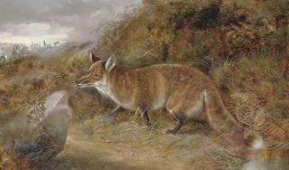 Robert Cleminson - Gambols Disturbed