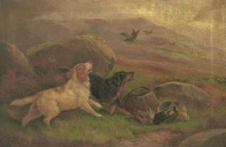 Robert Cleminson - Gundogs on a grouse moor