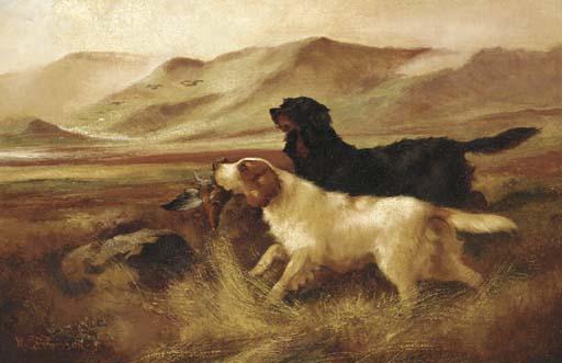 Robert Cleminson - Setters retrieving partridges