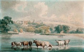 Robert Cleveley - Richmond Hill from Petersham Meadows
