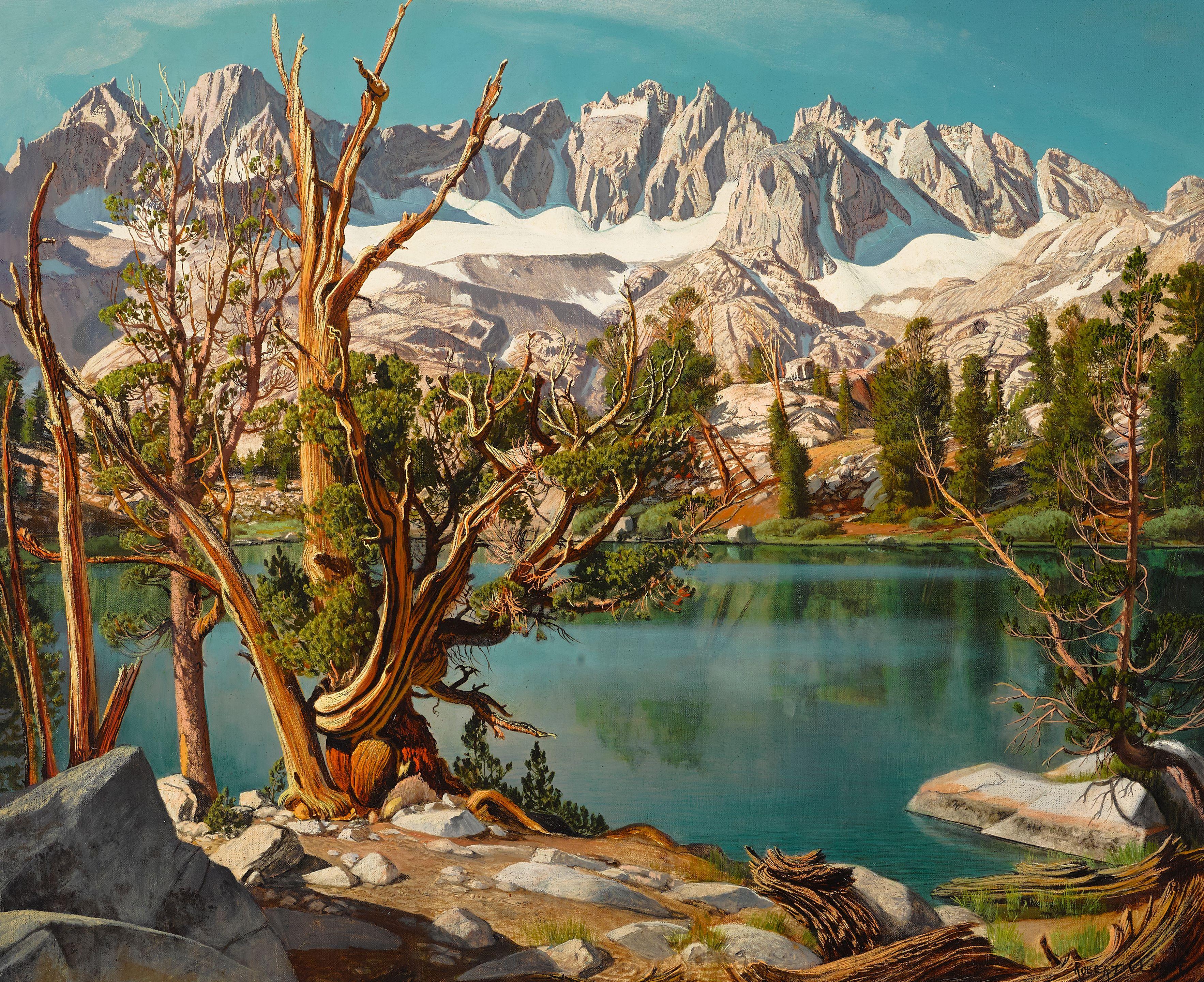 Robert Clunie - Old Whitebark Pine Tree at Summit Lake, Nth Palisade Range, Big Pine, California