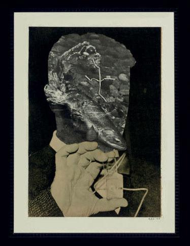 Robert Dean Stockwell - Fish Face