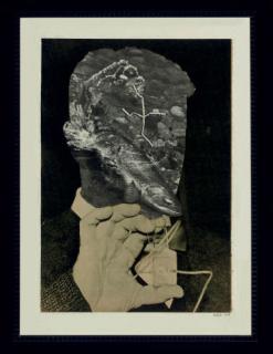 Robert Dean Stockwell - Fish Face