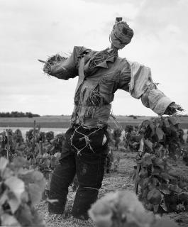 Robert Doisneau - Epouvantail 1950 ca.