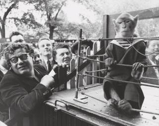 Robert Doisneau - Les Animaux Supérieurs, 1954