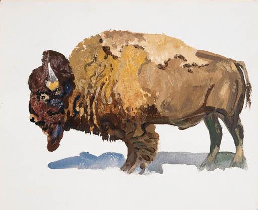 Robert Elmer Lougheed - Buffalo #3