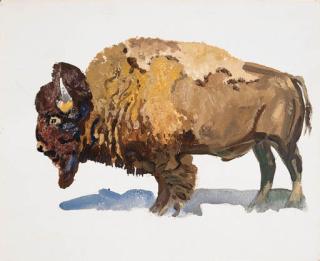 Robert Elmer Lougheed - Buffalo #3