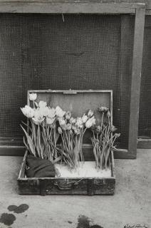 Robert Frank - Paris