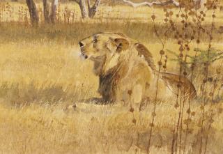 Robert Frederick Kuhn - Morning Song