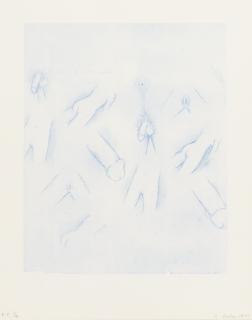 Robert Gober - Genitals