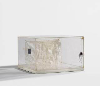 Robert Graham - Ohne Titel