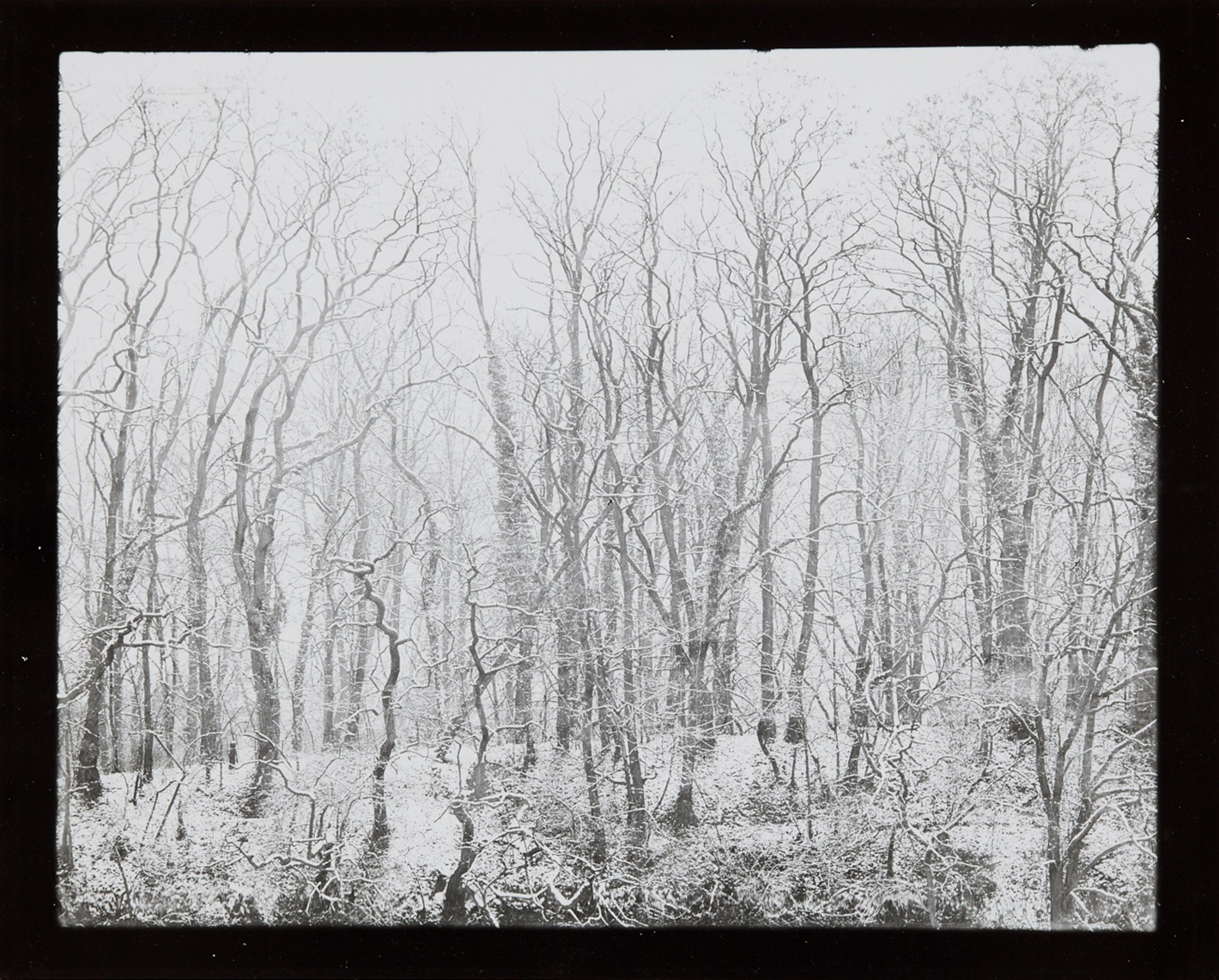 Robert Häusser - Fensterbild