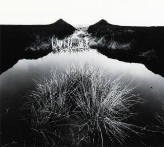 Robert Häusser - »Moor«