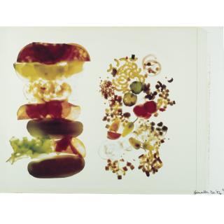 Robert Heinecken - Foodgram #4