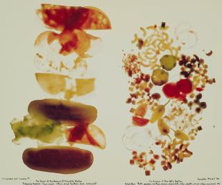 Robert Heinecken - Iconographic Art Lunches #1