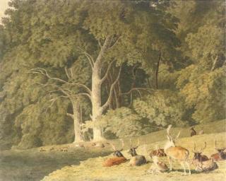 Robert Hills, O.W.S. - A Herd of Deer Resting In A Glade