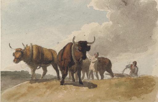 Robert Hills, O.W.S. - Oxen ploughing