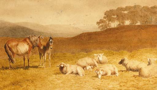 Robert Hills, O.W.S. - Sheep and ponies resting in an extensive landscape