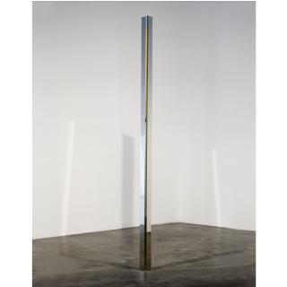 Robert Irwin - Column