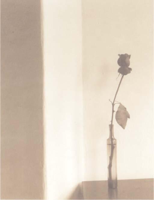 Robert J. Steinberg - 3 Wall Rose, Cambridge, March 1980