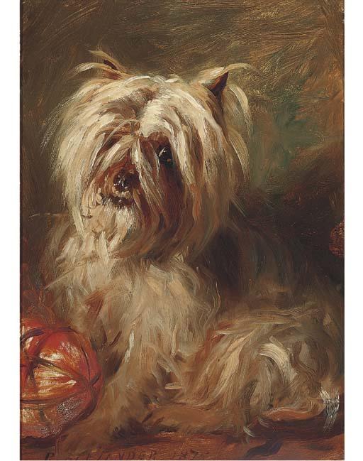 Robert L. Alexander - A Cairn Terrier