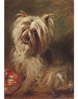 Robert L. Alexander - A Cairn Terrier
