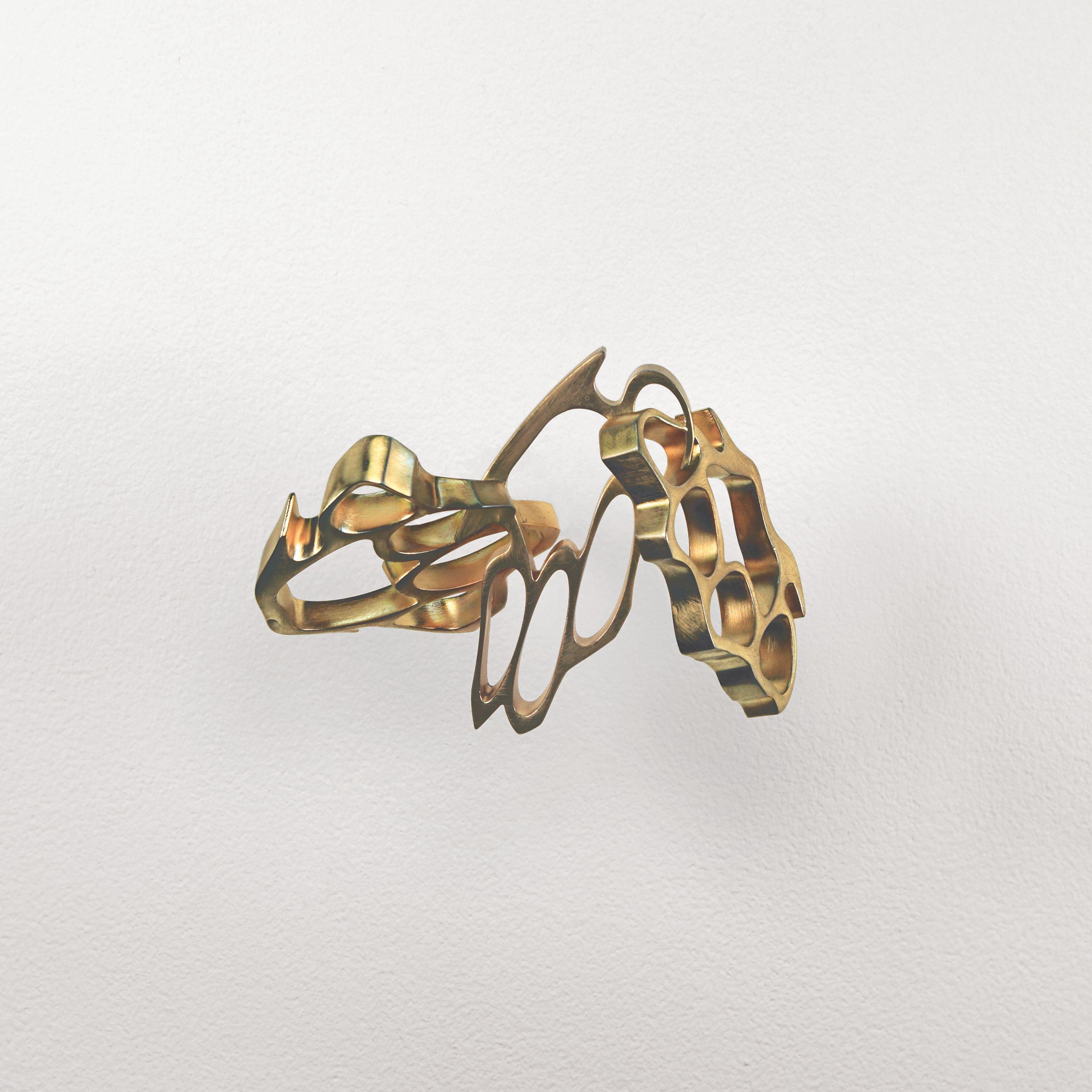 Robert Lazzarini - brass knuckles (iv)