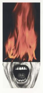 Robert Longo - Arena Brains