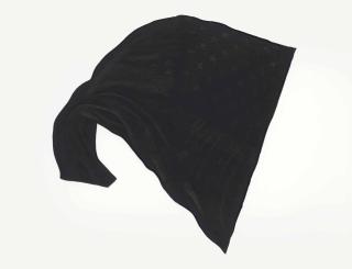 Robert Longo - Black Flag #5